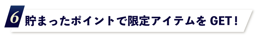 6.溜まったポイントで限定アイテムをGET!