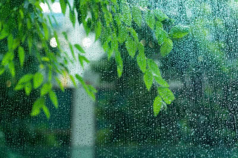 【6月】水の気を上手く取り入れる開運行動