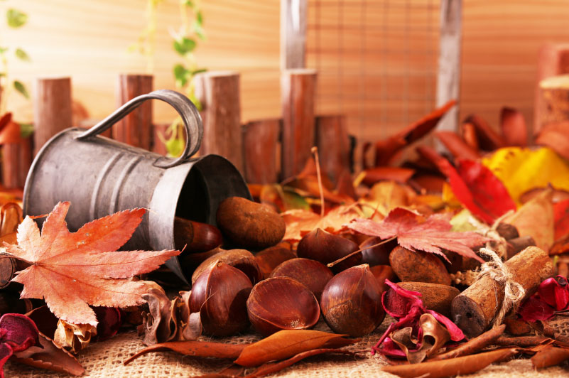 【9月】秋の訪れを感じて実りある人生に!