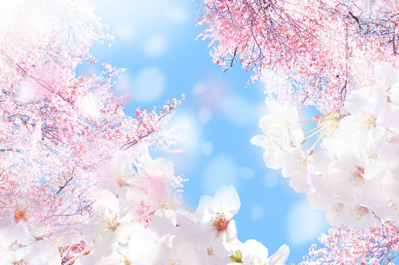 新しい運気が動き出すとき