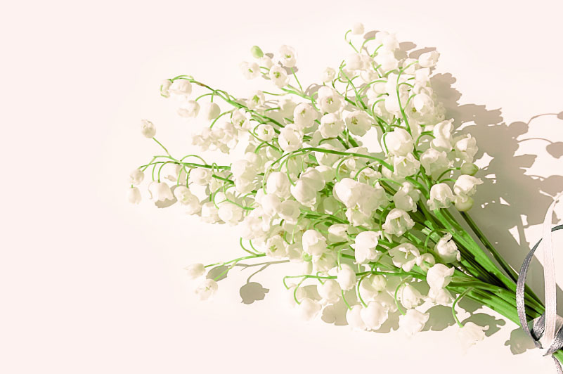 幸せから始まる運気を上げる秘訣