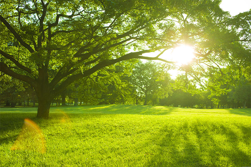 朝の目覚めで運気アップの過ごし方