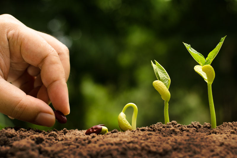 【2月】全ての星がスタートラインに!