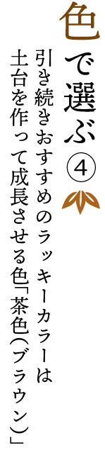 春財布を色で選ぶ。今年のラッキーカラーは土台を作って成長させる茶色