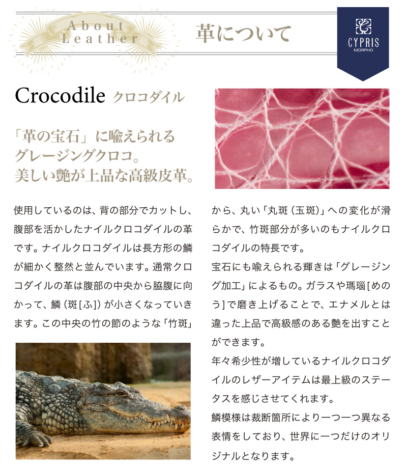 CROCODILE クロコダイル